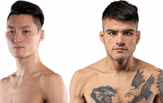 ǿ,     UFC  뿡 